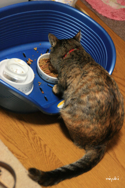 ���Ϥ󥿥����