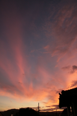 2009年8月夕暮れ