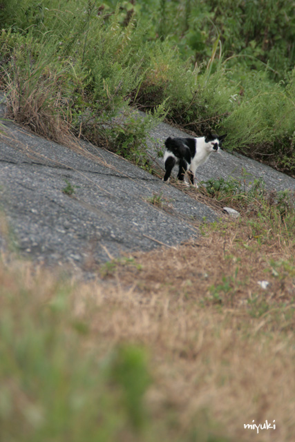 ���ߤΤͤ�������