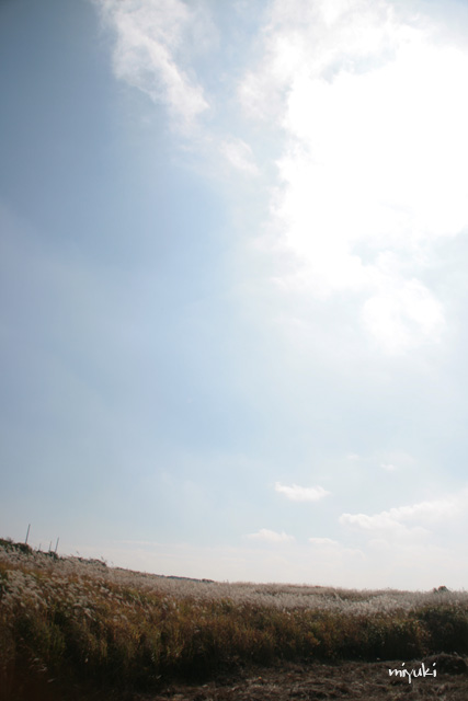 ���줿〜��