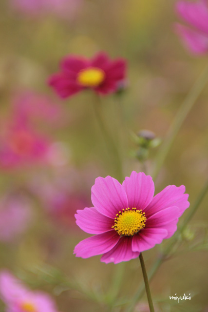 �����⥹��