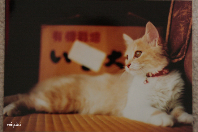 �����������ե����