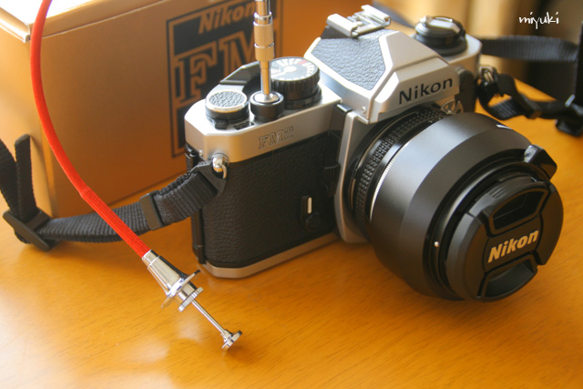 ������꣱