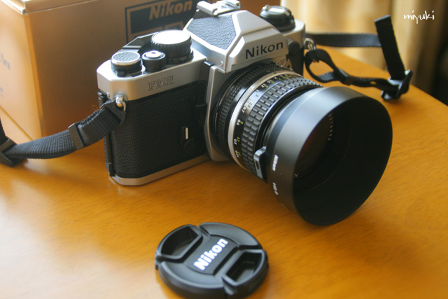 ������ꣲ