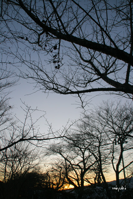 ������ؤν���