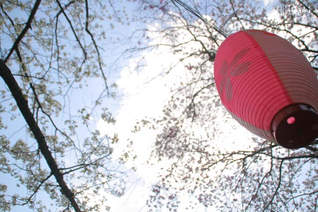 �������Ⱥ��Ķ���