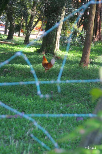 �ե��󥹤θ�����¦