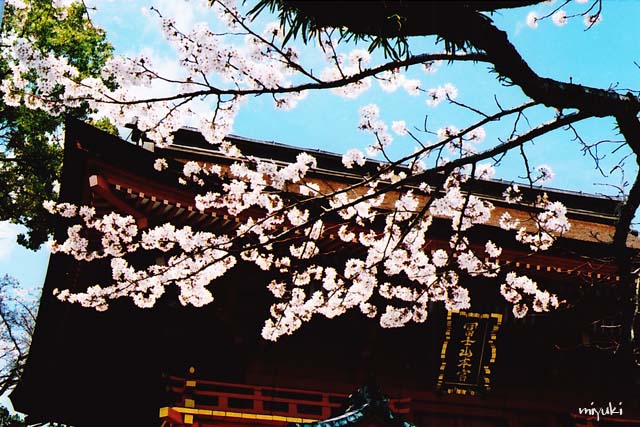 ������ҡ��ե���ࣱ