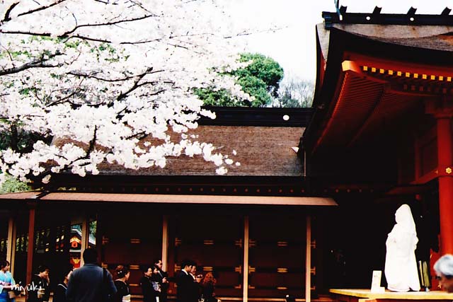 ������ҡ��ե���ࣳ