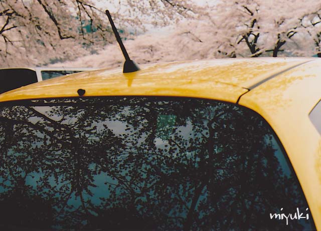 �ٻ������ե���ࣱ