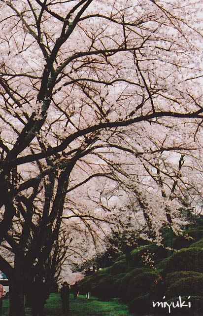 �ٻ������ե���ࣲ