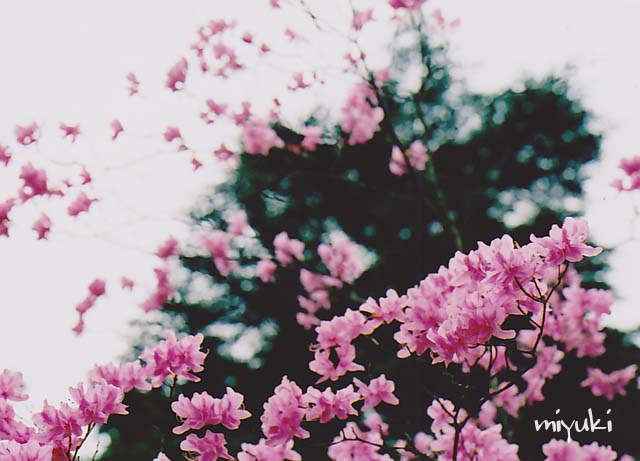 �ٻ������ե���ࣴ