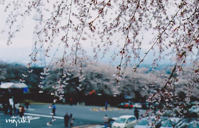 �ٻ������ե���ࣶ