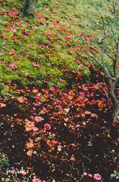 �ٻ������ե���ࣷ