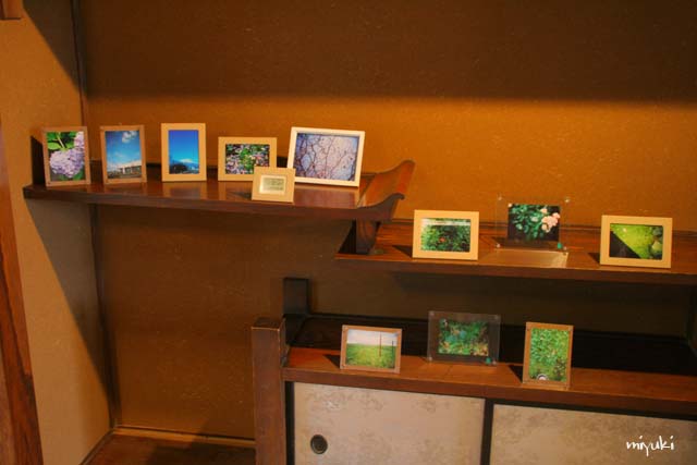 2�����顼���ڡ�����