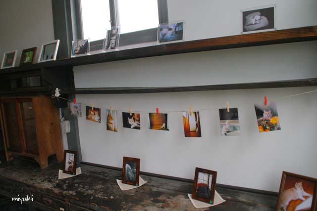 2���ͥ����ڡ���