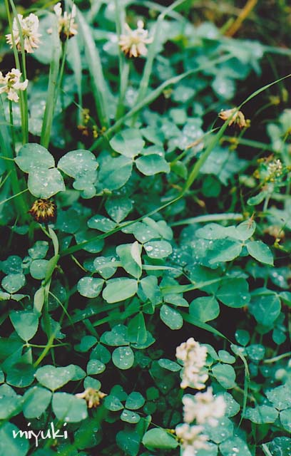 �������С�