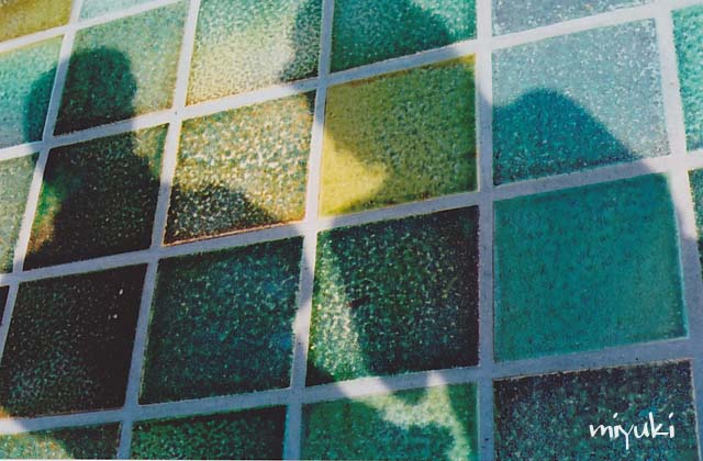 �Ƥǵ�ǰ���Ƣ�