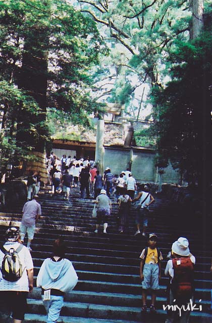 ������γ���