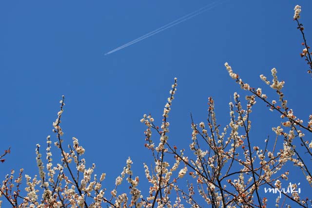 �ߤ����Ե���