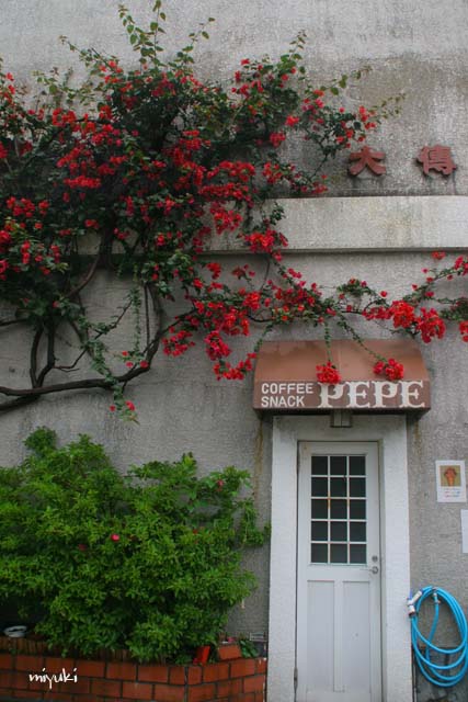 ʷ�ϵ��Τ�����