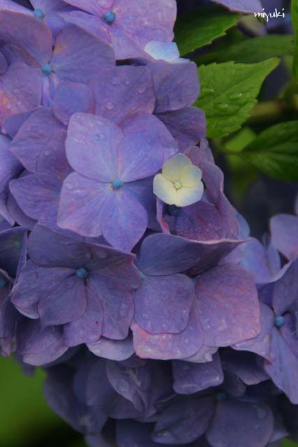 �֤���󥢥�������