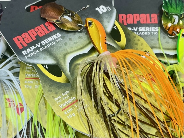 2023/4/28 本日の入荷！！ | ハニースポット ブログ