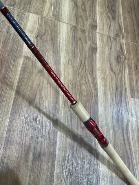 2023/9/3 本日の入荷!! | ハニースポット ブログ 2023/9/3 本日の入荷!! | ハニースポット ブログ