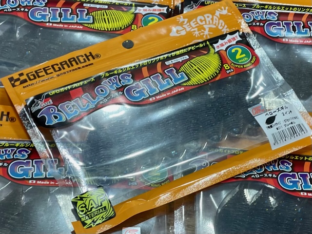 2023/11/8 本日の入荷！！ | ハニースポット ブログ