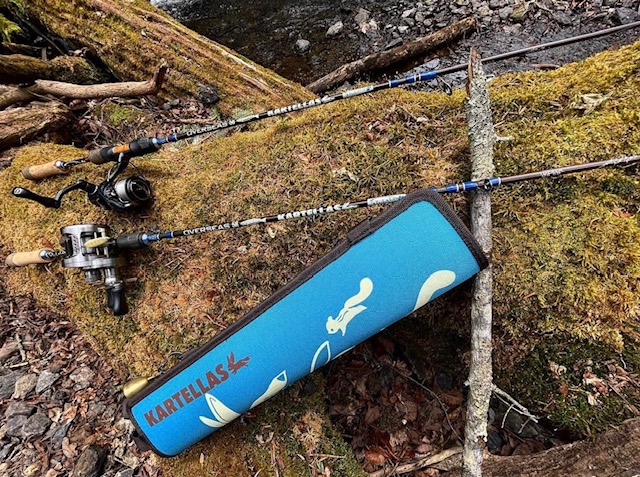 2023/11/8 本日の入荷！！ | ハニースポット ブログ