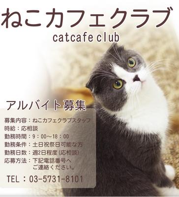猫 カフェ バイト