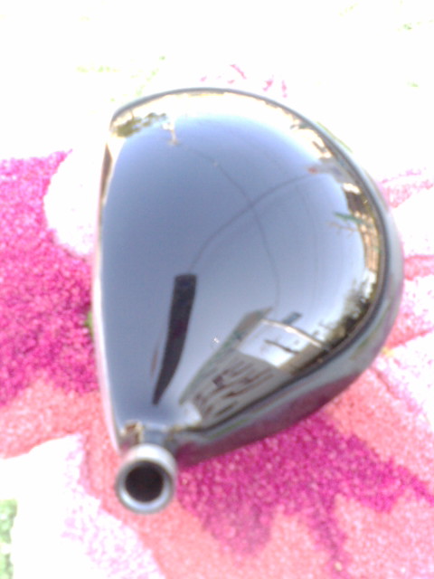 F1011159.jpg