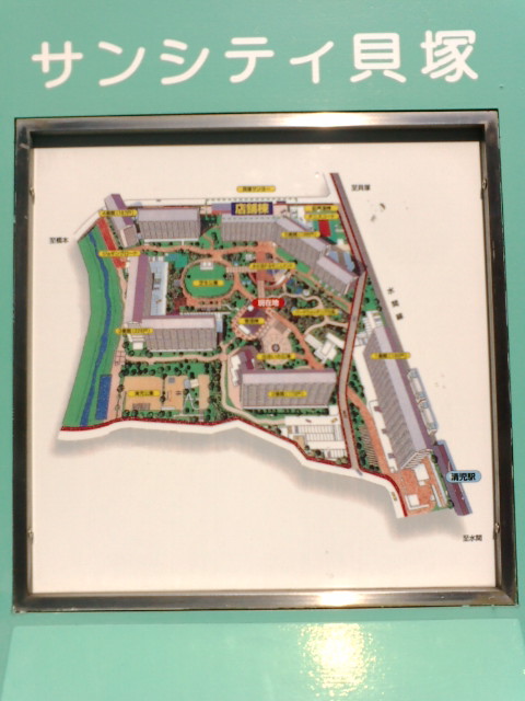 F1011207.jpg