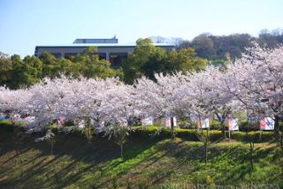 20100324232820.jpg