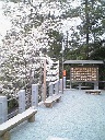 散歩2