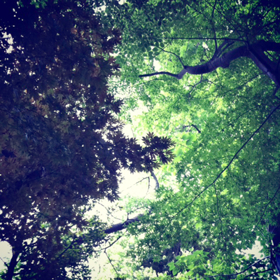 牧野記念公園