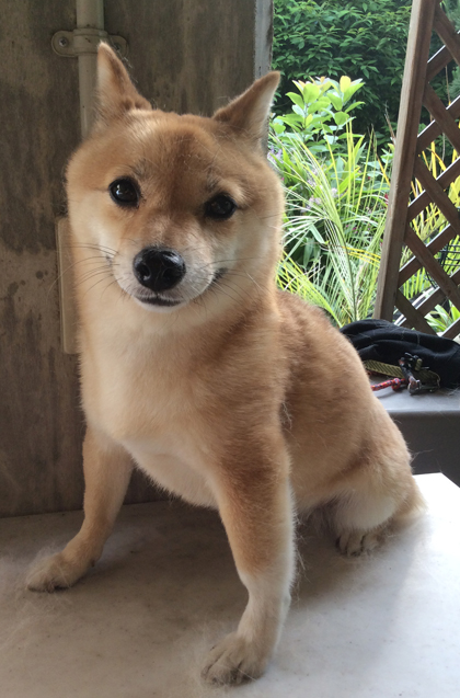 ちゅーやん 正面