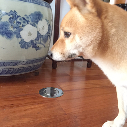 火鉢とちゅーやん