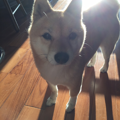 ちゅーやん