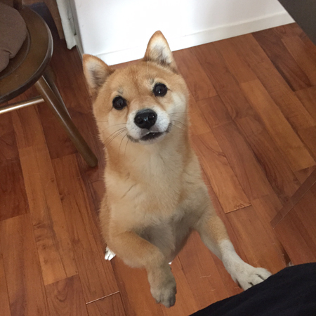 ちゅーやんの秋