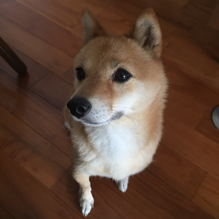 ちゅーやん