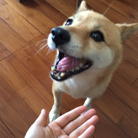 ちゅーやん