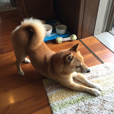 ちゅーやん