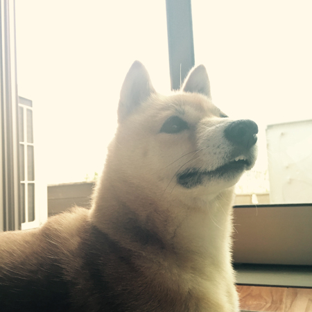 ちゅーやん