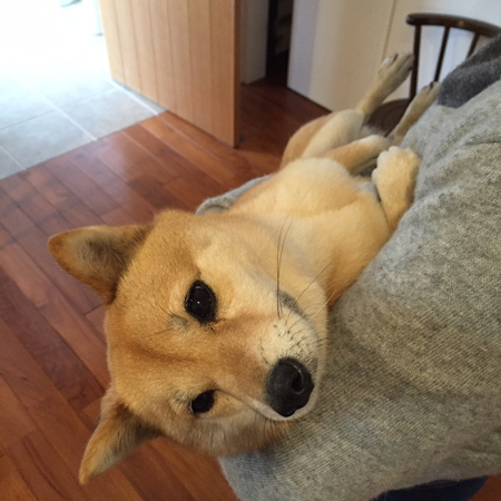 腕の中