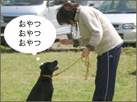 アイコンタクト