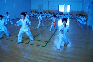DSC00850.JPG