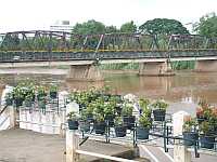 pinriver0524