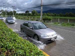 道路は冠水