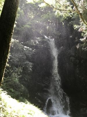IMG_0862.JPG
